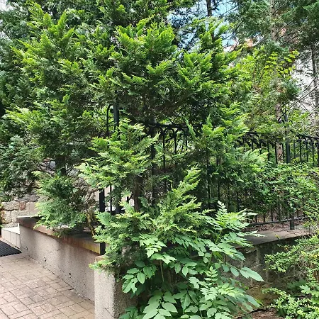 Mieszkanie z ogrodem i parkingiem - Górny Sopot Apartament *
